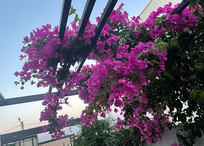 Vilă Bodrumda Deniz Ve Doga Manzarali Full Esyali Lueks Bodrum