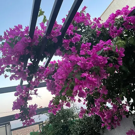 Vilă Bodrumda Deniz Ve Doga Manzarali Full Esyali Lueks Bodrum